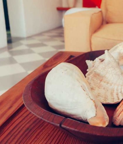 Casa Natalia Boutique Hotel San Jose del Cabo - Privacy Policy - Conchas Seashells